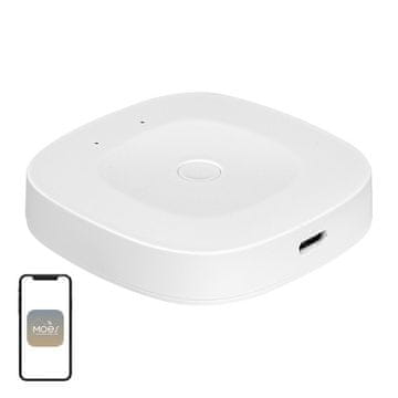 MOES Moes ZHUB-C ZigBee/Ethernet pristupna točka