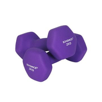 Songmics Set bučica 2 x 2 kg 16x7.5 cm ljubičasta