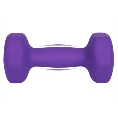 Songmics Set bučica 2 x 2 kg 16x7.5 cm ljubičasta
