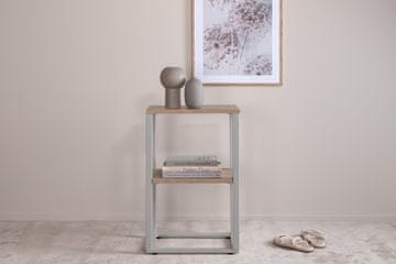 Venture Design AB Noćni ormarić 45x30x70 cm Sivi