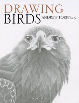 Rayher.	 KNJIGA DRAWING BIRDS