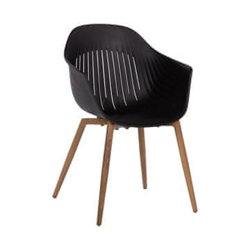 Homestar Crna stolica