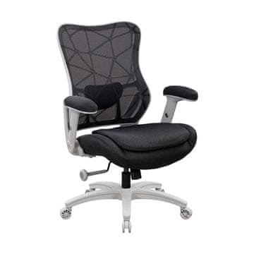 Homestar Radna stolica DEMI crna svijetlo siva