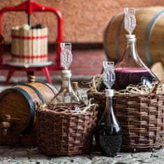 Browin Kvasac s hranjivom podlogom Vinistart Complex, 20 g