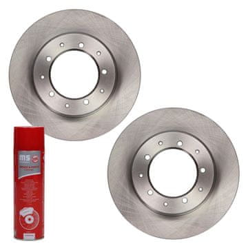 Stražnji kočioni diskovi 24011301891-PCS-MS | 2 kom