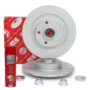 Stražnji kočioni diskovi s ležajem 2401110173BPR-PCS-MS | 2 kom