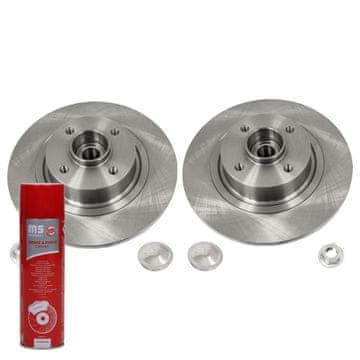 Stražnji kočioni diskovi s ležajem 2401100325B-PCS-MS | 2 kom