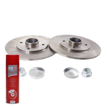 Stražnji kočioni diskovi s ležajem 2401106045B-PCS-MS | 2 kom
