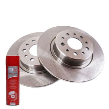 Stražnji kočioni diskovi 24011002831-PCS-MS | 2 kom