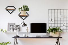 IN Crni metalni zidni stalak za cvijeće Doron Rustic loft
