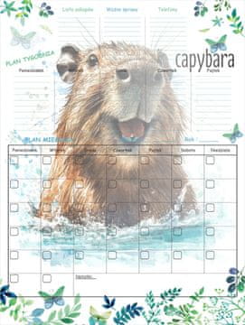Planer za hladnjak Magnetska ploča Raspored Capybara kalendar marker