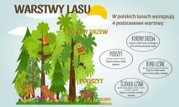 Poklopac za radijator edukativna dekoracija za radijator Slojevi šume 60x100cm