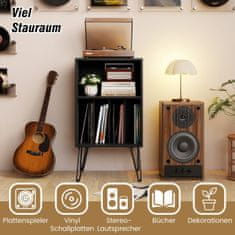 Northix Stalak za gramofon s punjačem i spremištem za vinil