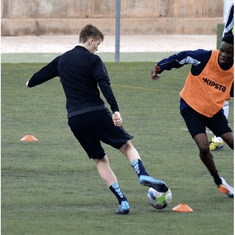 Trizand trening/komplet čunjeva za vježbanje sa stalkom i torbom, 50 komada (00023422)