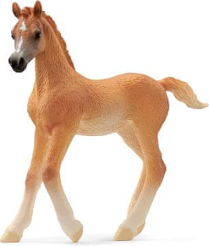 Schleich Schleich figurka ždrijebe čistokrvne arapske pasmine 13984