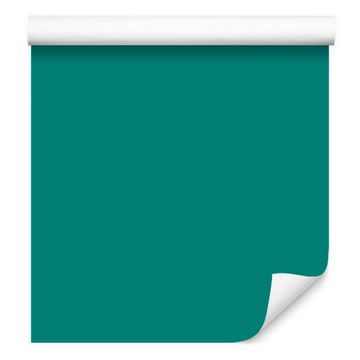Tapeta Jednobojna tirkizna pozadina, tirkizna sredina 50x1000 cm