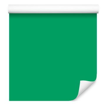 Tapeta Uniform Morske Pozadine za dnevni boravak i spavaću sobu 50x1000 cm