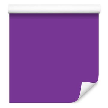 Tapeta Jednobojna ljubičasta pozadina, ljubičasta sredina 50x1000 cm