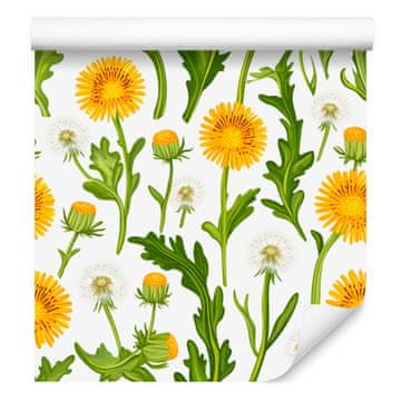 Tapeta maslačaka bijela i limeta za dnevni boravak i spavaću sobu 50x1000 cm