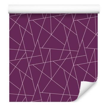 Geometrijske tapete boje šljive i ljubičaste za dnevni boravak i spavaću sobu 50x1000 cm