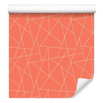 Tapeta s geometrijskim uzorkom koralja i breskve, koraljna pozadina 50x1000 cm