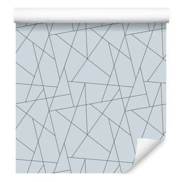 Tapeta s geometrijskim uzorkom, svijetlo siva, fini detalji 50x1000 cm
