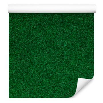 Zelena tapeta s šljokicama za dnevni boravak i spavaću sobu 50x1000 cm