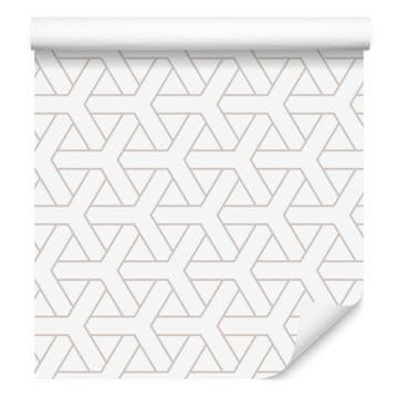 Geometrijske i minimalističke tapete za dnevni boravak i spavaću sobu 50x1000 cm