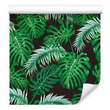 Tapeta s palminim i monstera lišćem za dnevni boravak i spavaću sobu 50x1000 cm