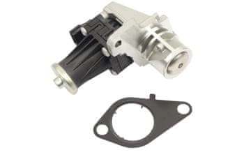 FAST FT10063 BRZI EGR VENTIL