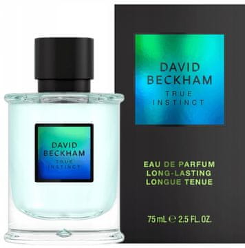 David Beckham True Instinct - Muška parfemska voda 75 ml