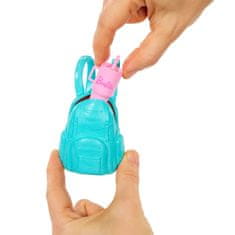 Barbie BROOKLYN LUTKA Set za avanture na otvorenom sa psom