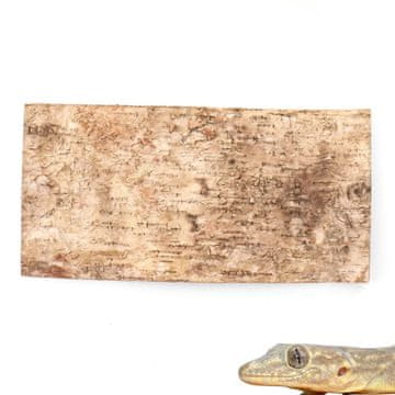 BIO BioBirch Kora prešana pozadina od brezove kore 40x20cm