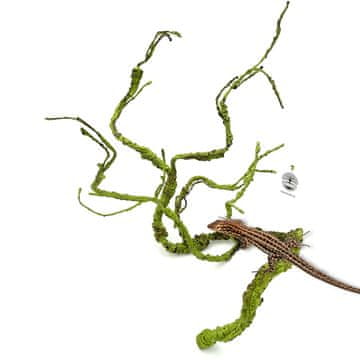 BIO BioBranch Green Liana M za terarij od 115 cm