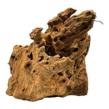 BIO BioRoot Mangrove M / 20-35cm / Korijen mangrove za terarij i akvarij
