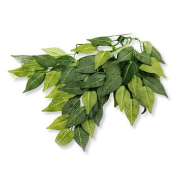 PTI viseća biljka smokva 40 cm