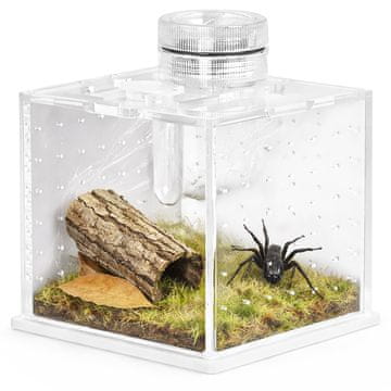 Terrario TERRARIJ SPIDERNOK M MINI AKRILNI TERARIJAM S RASVJETOM ZA BILJKE 20 CM