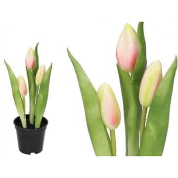 TOP GIFT TULIPANI BUKET TULIPANA GUMENO CVIJEĆE KAO ŽIVOT