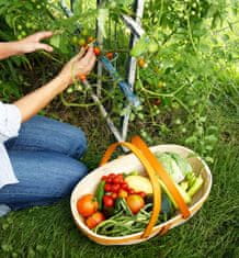 33 Dolomit, kalcij-magnezijevo gnojivo, vapno s magnezijem za travnjak, Biovita, 5 kg