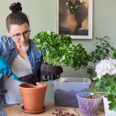 BIO13 FINA EKSPANDIRANA GLINE 5L 4-8MM VRTNA PRIRODNA DRENAŽA ZA POSUDE