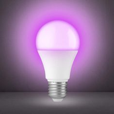 Alecto Pametna Wi-Fi LED žarulja, E27 9W, 16M boja, prigušljiva