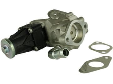 FAST FT60223 BRZI EGR VENTIL