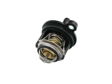 FAST FT58030 BRZI TERMOSTAT