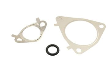 FAST FT50617 KOMPLET BRTVI ZA BRZI EGR VENTIL