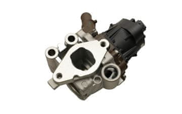 FAST FT60248 BRZI EGR VENTIL