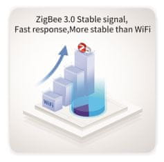 Tuya Smart Zigbee dvostruki prekidač s N Life Gold