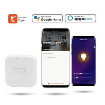 Tuya 2.4GHz pristupnik za SMART TRACK magnetske sustave