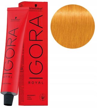 Schwarzkopf Igora Royal boja za kosu 60 ml 0-55 zlatni koncentrat