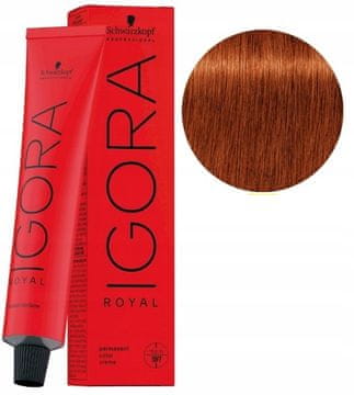 Schwarzkopf Igora Royal boja za kosu 60 ml 6-77 TAMNO PLAVA BAKRENA EXTRA