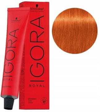 Schwarzkopf Igora Royal boja za kosu 60 ml 8-77 SVIJETLO PLAVA BAKRENA EXTRA